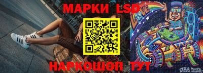 apvp Нальчик