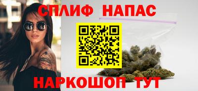 apvp Нальчик